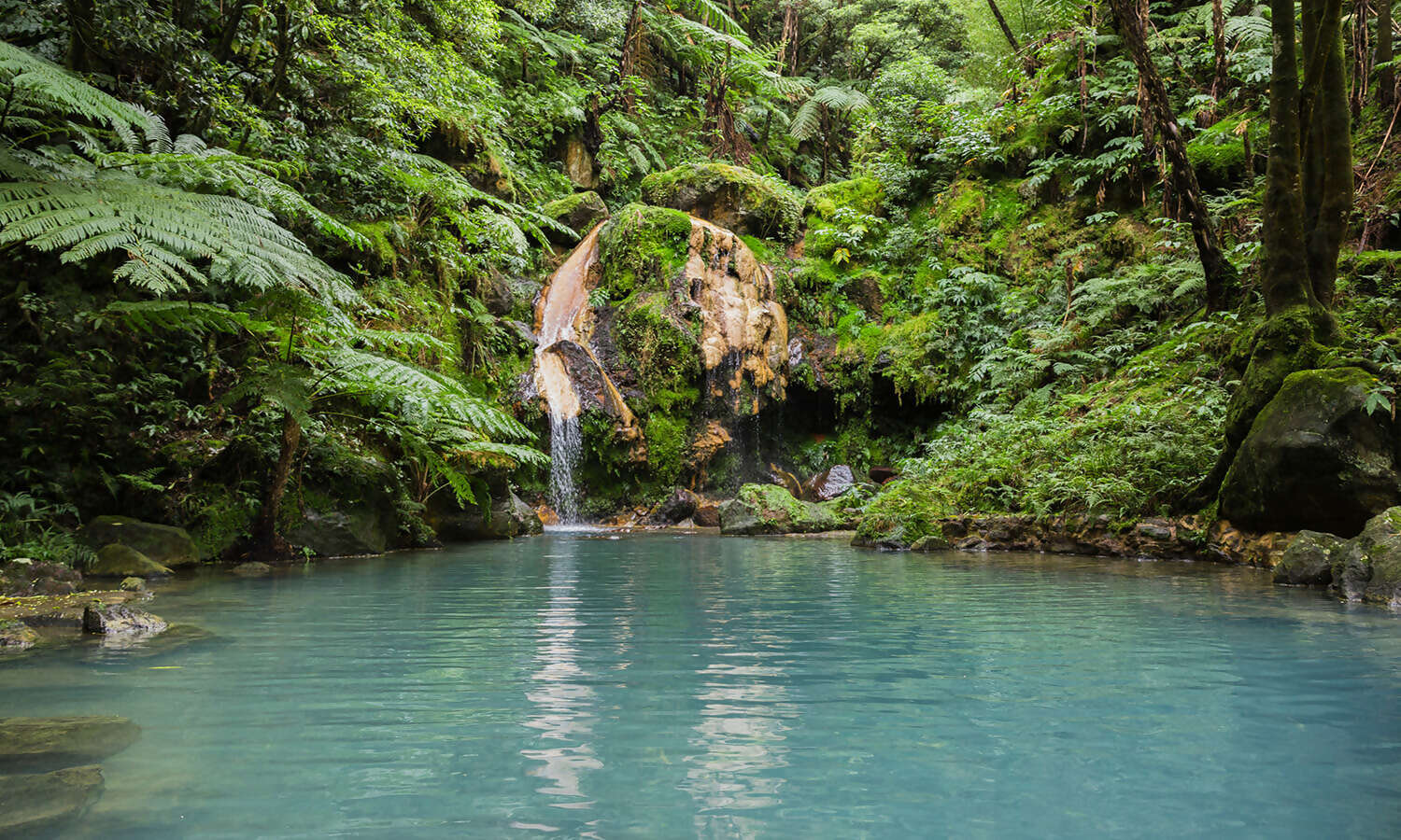 Tour To Lagoa Do Fogo